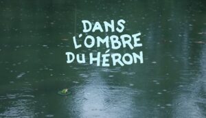 Capture dans l ombre du héron